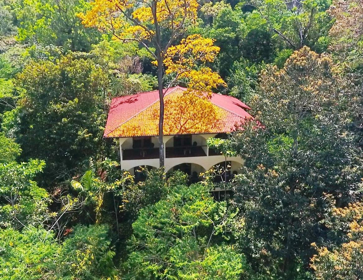 Morrillo Beach Eco Resort Ngoại thất bức ảnh