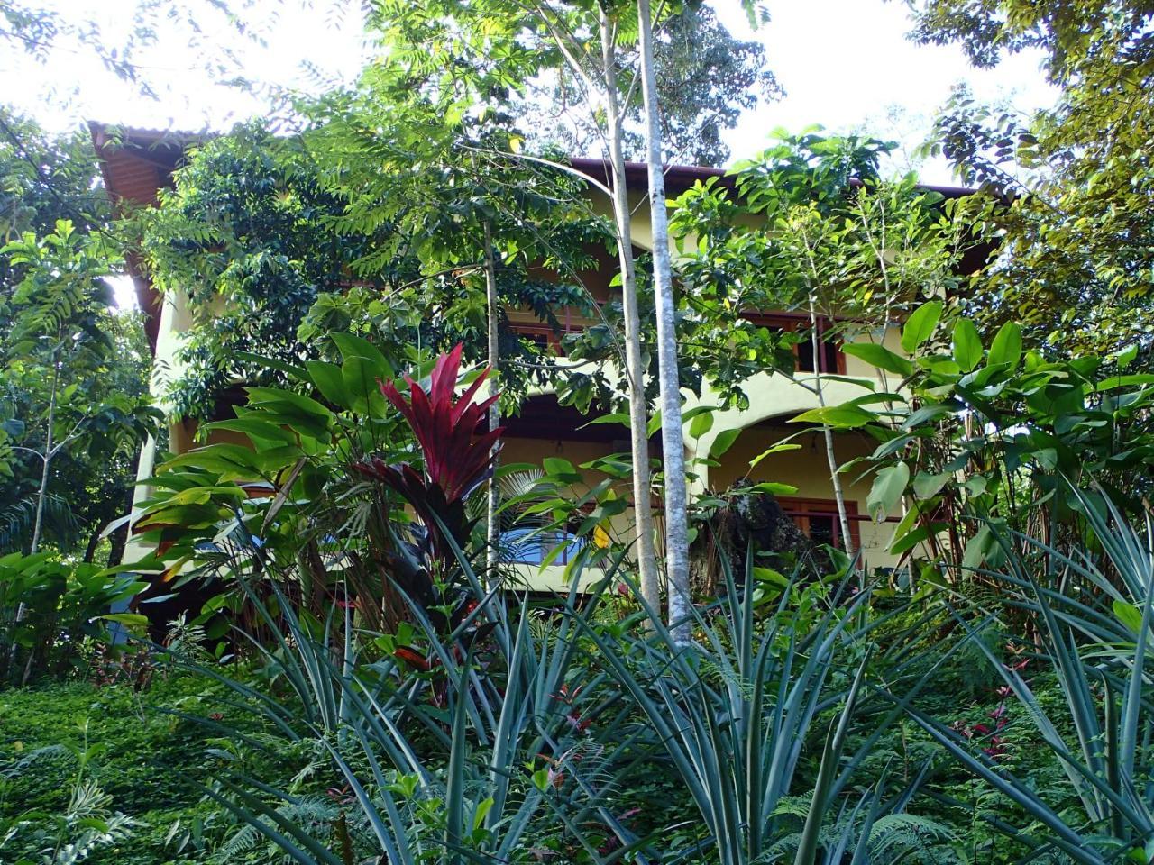 Morrillo Beach Eco Resort Ngoại thất bức ảnh