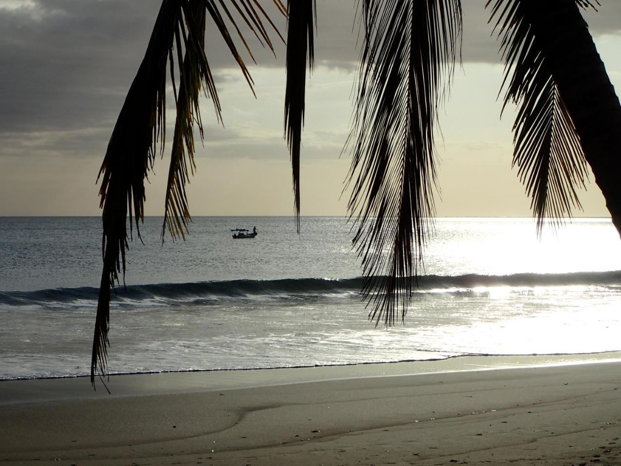 Morrillo Beach Eco Resort Ngoại thất bức ảnh