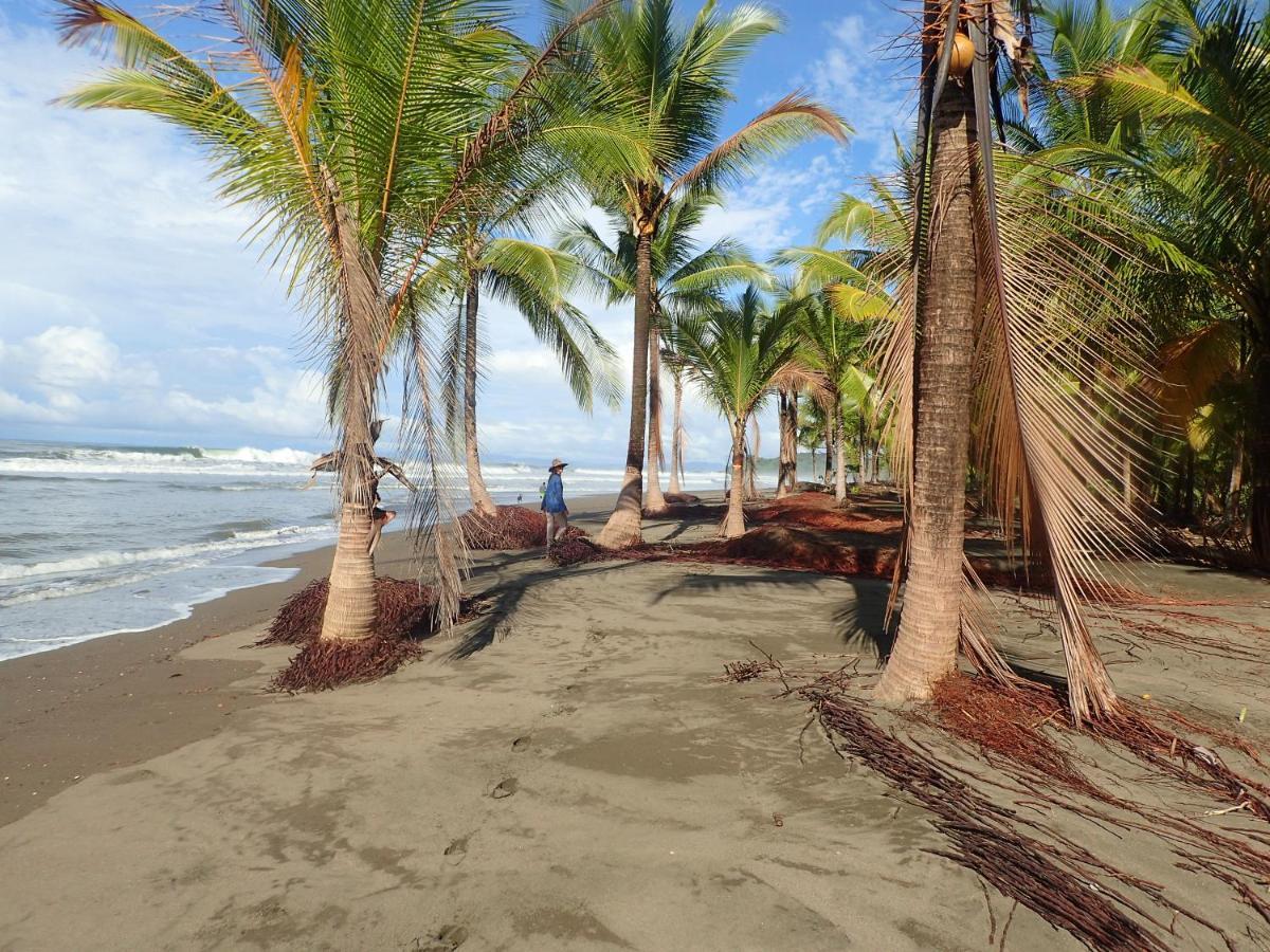 Morrillo Beach Eco Resort Ngoại thất bức ảnh