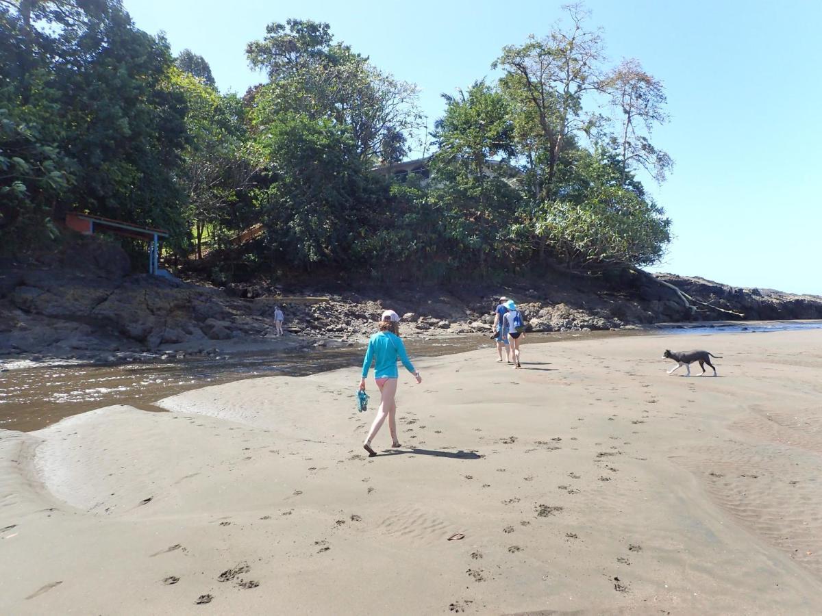 Morrillo Beach Eco Resort Ngoại thất bức ảnh