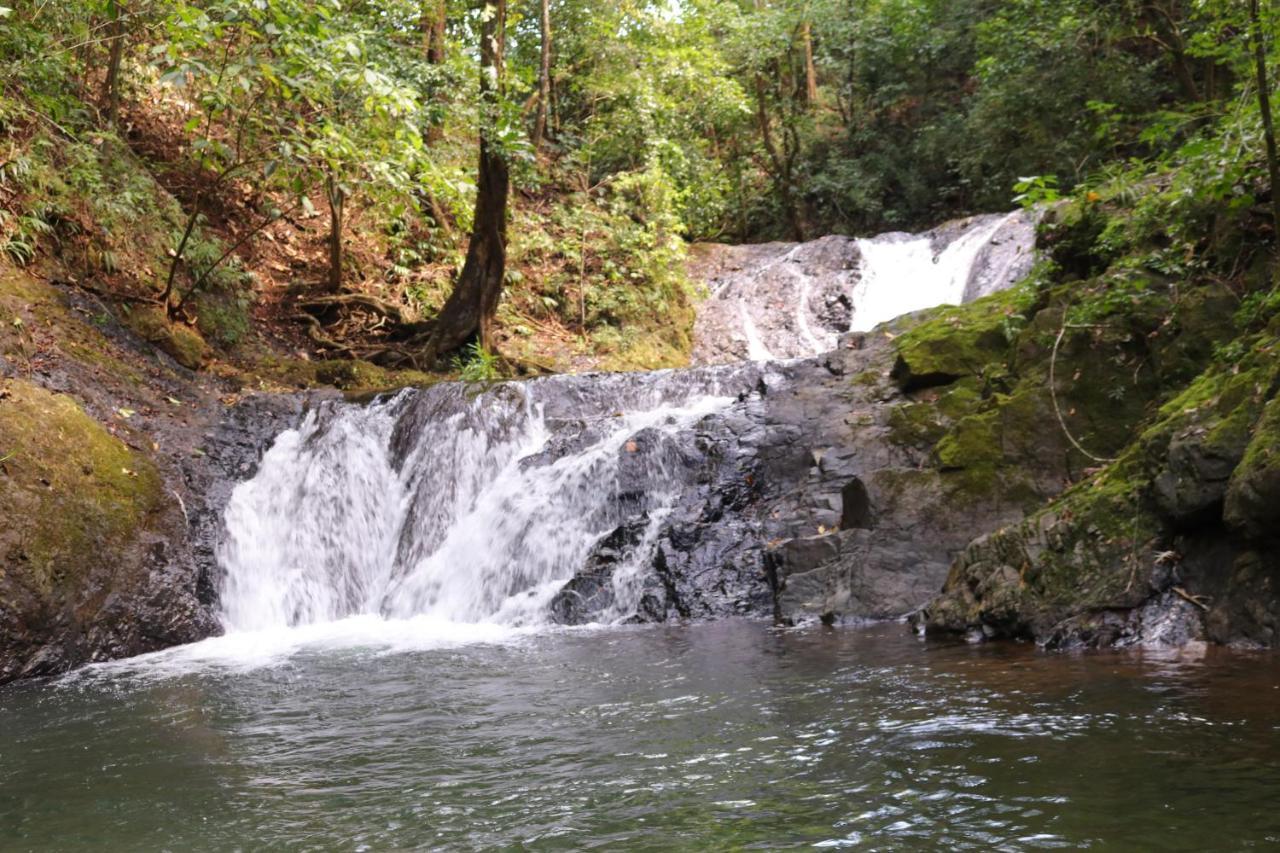 Morrillo Beach Eco Resort Ngoại thất bức ảnh